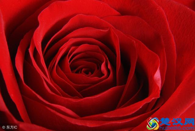 从心理学上说蓝色代表什么？