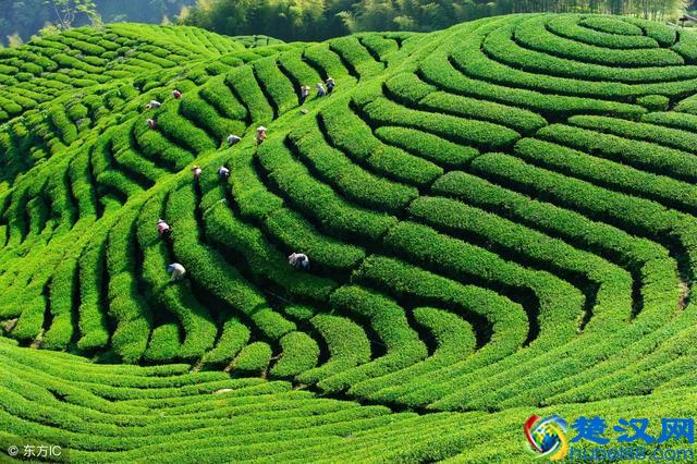 从心理学上说蓝色代表什么？