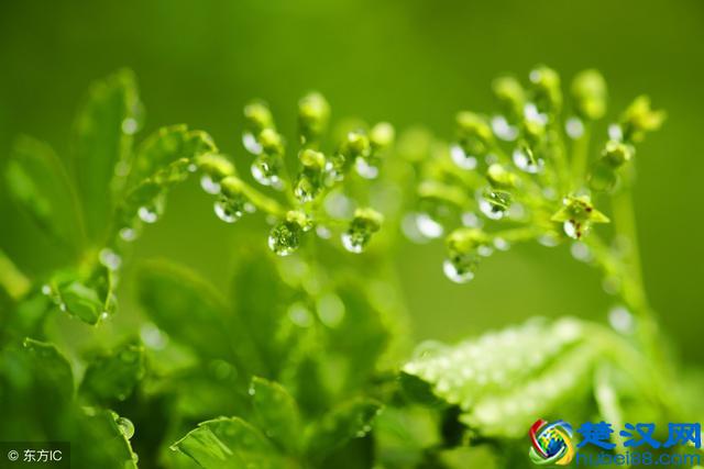 从心理学上说蓝色代表什么？