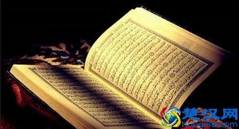 简单实用的网页制作软件你用过几个？