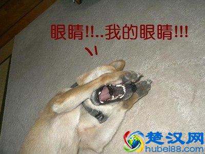 辐射到底是啥？辐射都有害么？一口气搞懂辐射是啥，如何防辐射。