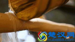 西安39.9温泉+水疗+汗蒸+观影+桑拿全套服务能做到吗？