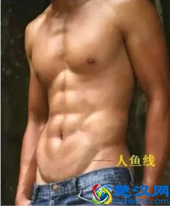 什么是人鱼线？什么是马甲线？