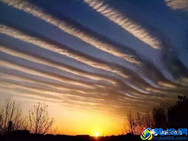 地震云？不存在的！快来看看各类云到底在预示什么？