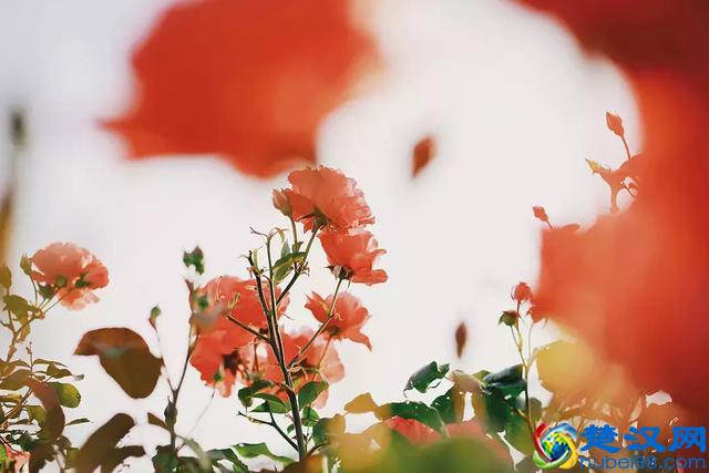 新闻写作：写好评论四步走