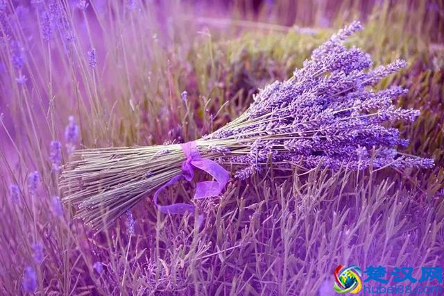 法国十大特产！据说只有法国人才知道！