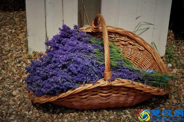 法国十大特产！据说只有法国人才知道！