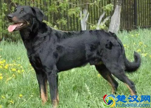 法国十大特产！据说只有法国人才知道！