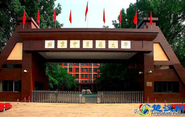 国内医科大学排行榜，7所中医大学进入前25名，学中医有优势吗？