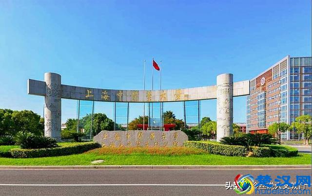 国内医科大学排行榜，7所中医大学进入前25名，学中医有优势吗？