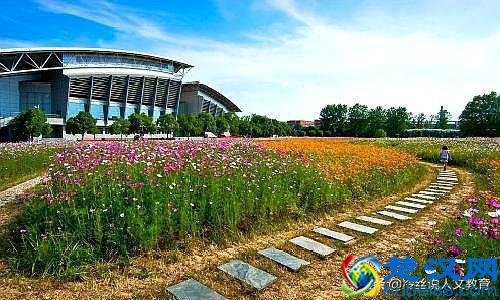 国内医科大学排行榜，7所中医大学进入前25名，学中医有优势吗？