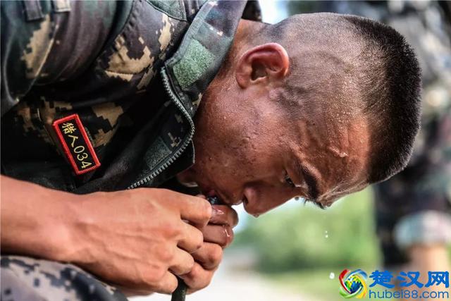 特种兵选拔对身高的要求有哪些？170CM居然是最佳身高！