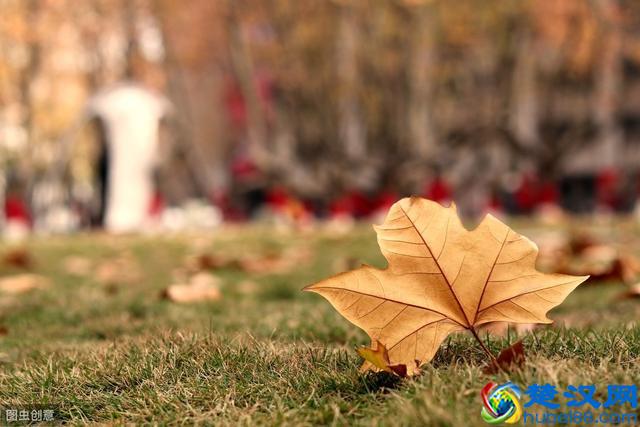 人生在世，最重要的是心态！