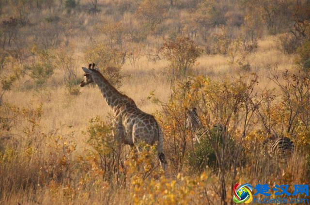 七个容易被误解的首都：日本首都不是东京，美国首都是纽约？