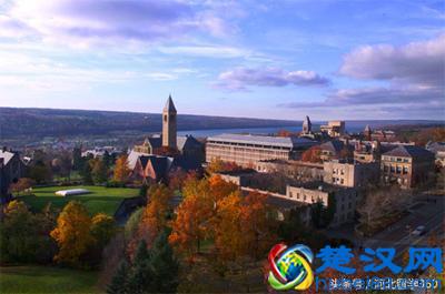 美国纽约有哪些顶尖大学！