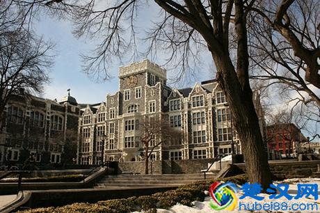 美国纽约有哪些顶尖大学！