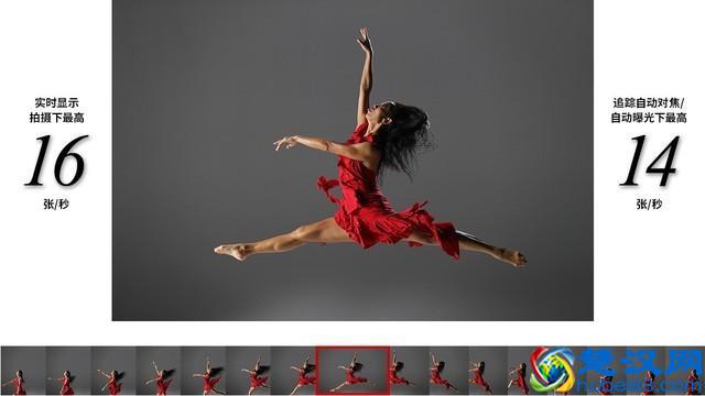 都说单反相机好，你知道单反相机到底反了什么？