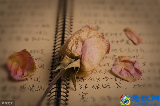 面对男人说出的“我想你”，女人的3种表达方式非常有魅力