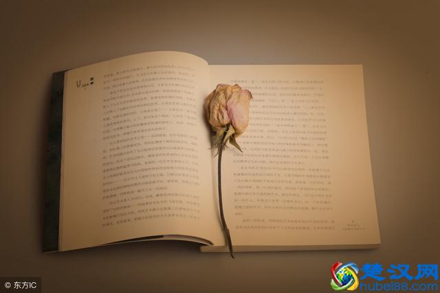 面对男人说出的“我想你”，女人的3种表达方式非常有魅力