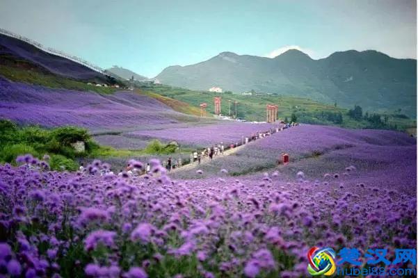 浪漫五月，最适合度蜜月！问题是去哪里度蜜月呢？