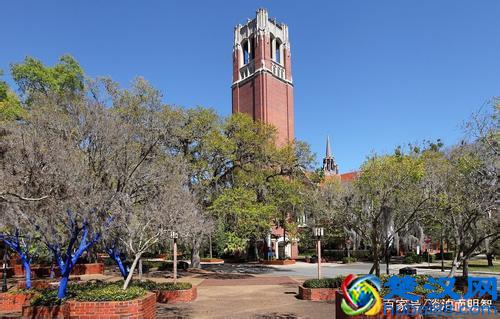选校指南:美国TOP50名校并列三十五,佛罗里达大学:佛州的骄傲
