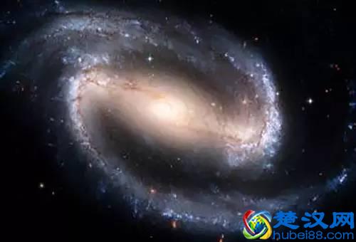 盘点美国本科八大热门专业,治好你的选择恐惧症