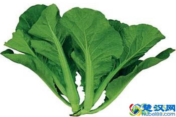 农村芥菜全身是宝，是酸菜鱼酸菜的原料，如今成致富商机