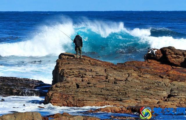 金砖国家是什么意思？有哪些国家组成？各国都有哪些优势？