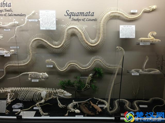 美国旅游胜地——泉城堪萨斯