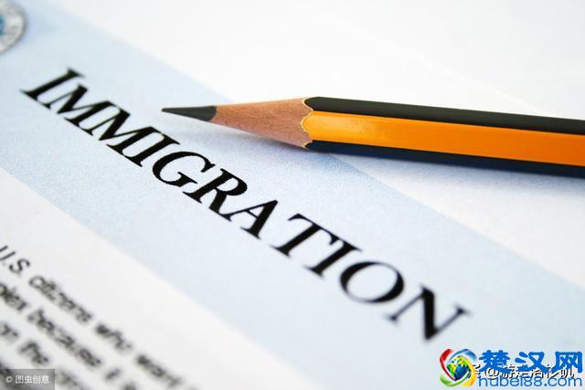 美国生子  亲属移民政策详细解析