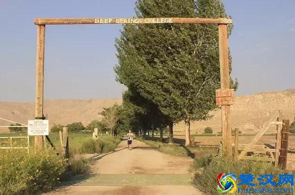 传说中比哈佛耶鲁更难进的深泉学院，真的适合你吗？