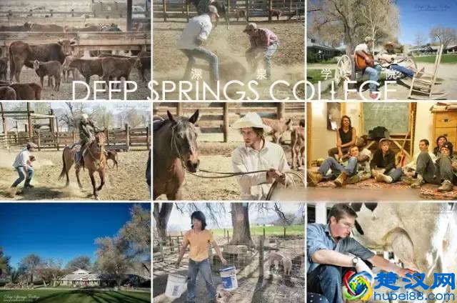 传说中比哈佛耶鲁更难进的深泉学院，真的适合你吗？