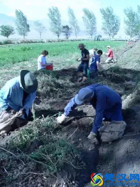 传说中比哈佛耶鲁更难进的深泉学院，真的适合你吗？