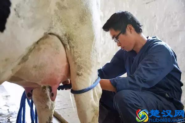 传说中比哈佛耶鲁更难进的深泉学院，真的适合你吗？