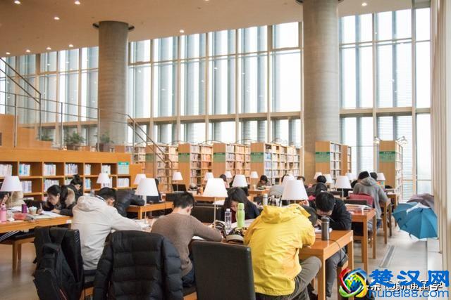 美国留学真的很贵，去美国读本科一年需要多少钱？「留学费用」