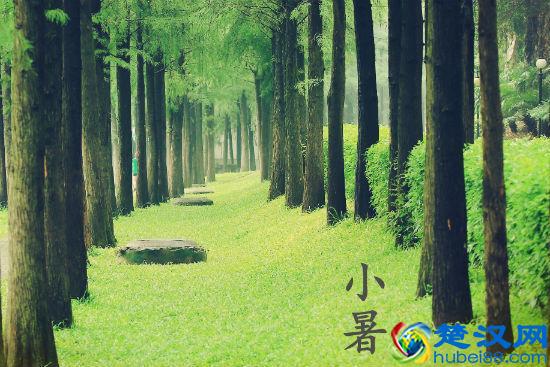 小暑的由来 小暑是什么意思