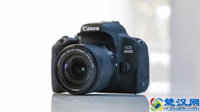 2019入门级单反相机哪些值得推荐呢?10款廉价相机你认为如何?