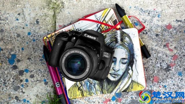 2019入门级单反相机哪些值得推荐呢?10款廉价相机你认为如何?