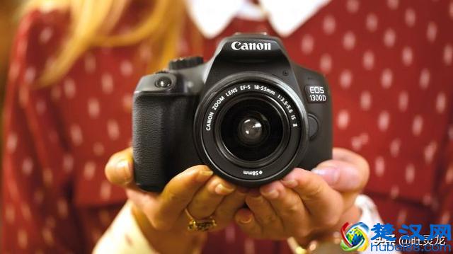 2019入门级单反相机哪些值得推荐呢?10款廉价相机你认为如何?