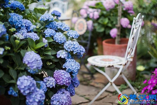 光彩夺目,这是超乎你想象的成都!