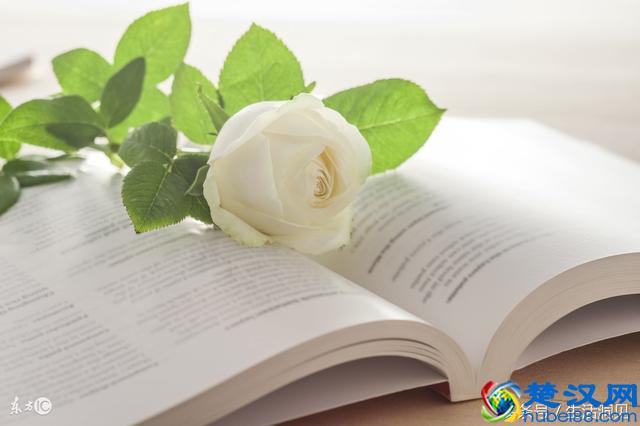 生活拮据的时候，我终于懂得了这些道理