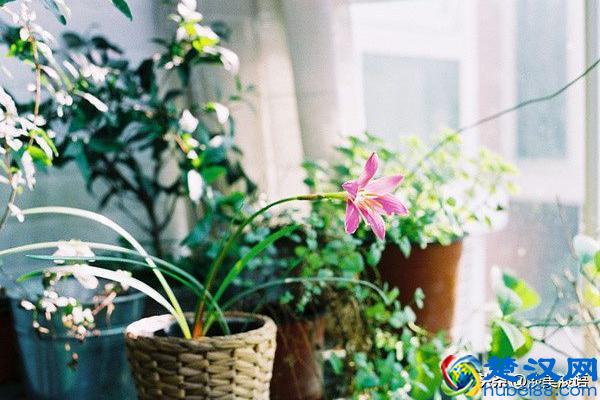 余生，愿你一路披荆斩棘，活成自己喜欢的模样！