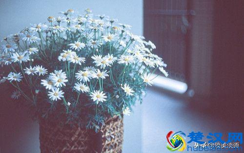 余生，愿你一路披荆斩棘，活成自己喜欢的模样！