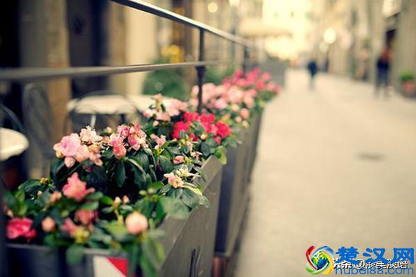 余生，愿你一路披荆斩棘，活成自己喜欢的模样！