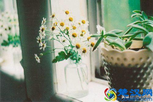 余生，愿你一路披荆斩棘，活成自己喜欢的模样！