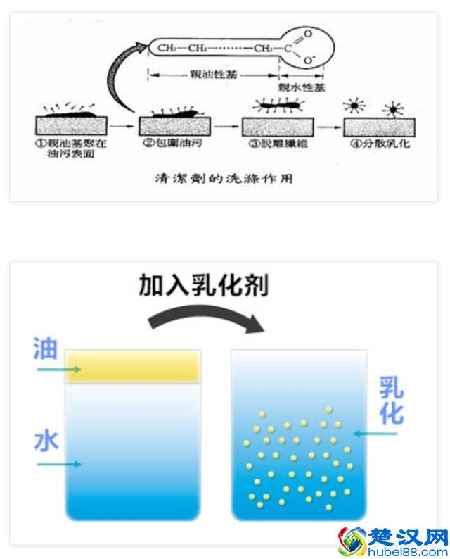 科普｜乳化剂（表面活性剂）有毒？