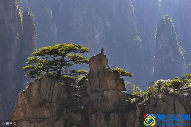 中国黄山“四绝”，一绝奇松，二绝怪石，三绝云海，四绝是？