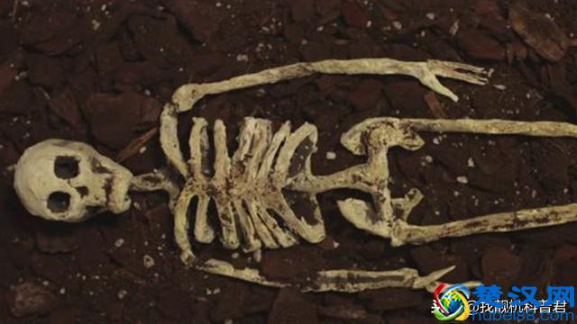 人死之后多长时间，会变成一堆白骨？