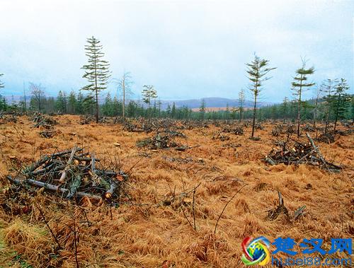 雨水究竟要多酸才能称为“酸雨”呢？