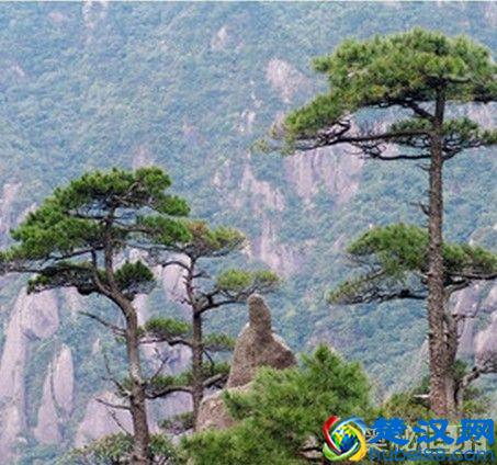 岁寒三友是指什么,岁寒三友的意思